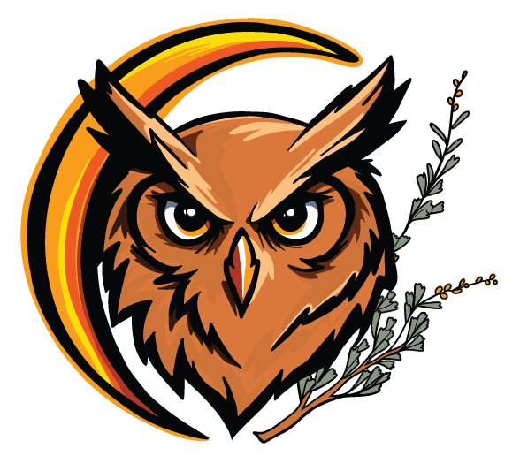 Sníne Elementary logo