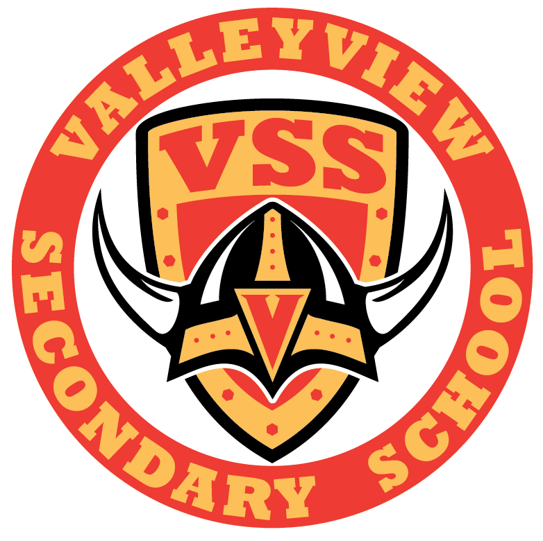Valleyview Secondary logo