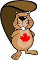 beaver_ca.6ab96c2250.png