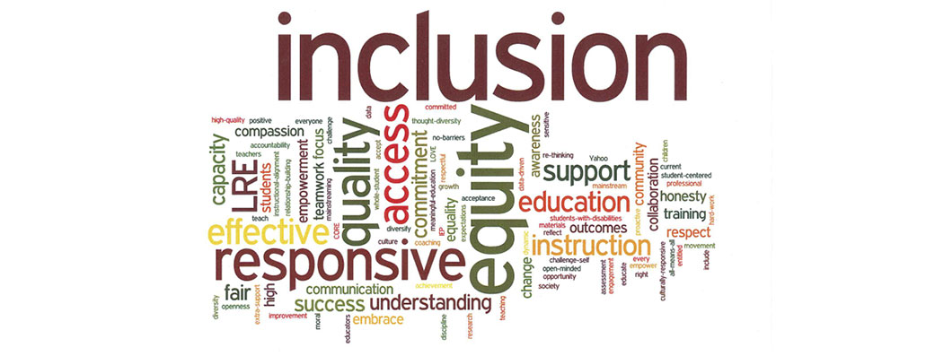inclusion.e275de455.jpg