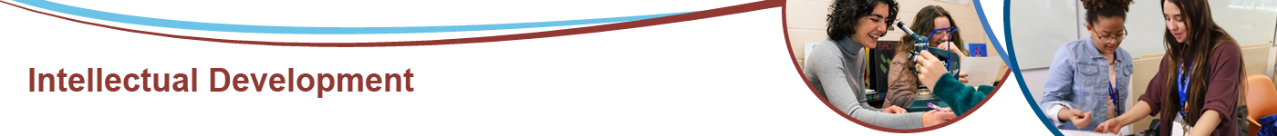 intellectual_development_02.9545085145.png