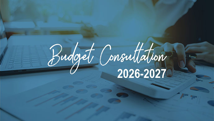 ip_budget_consultation.347d0a5324.jpg