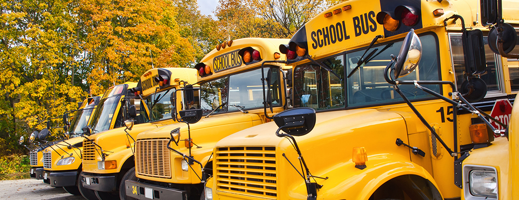 ipb_school_bus_03.61b5eb6306.jpg