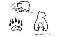 sketche_bear.b1d7e45172.png