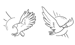 sketches_eagle.1c4e835171.png