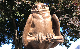 the_owl_award.46cf045390.jpg